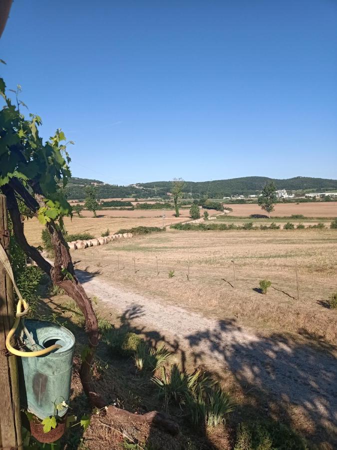 Agriturismo Podere la selva Villa Serre Di Rapolano Esterno foto