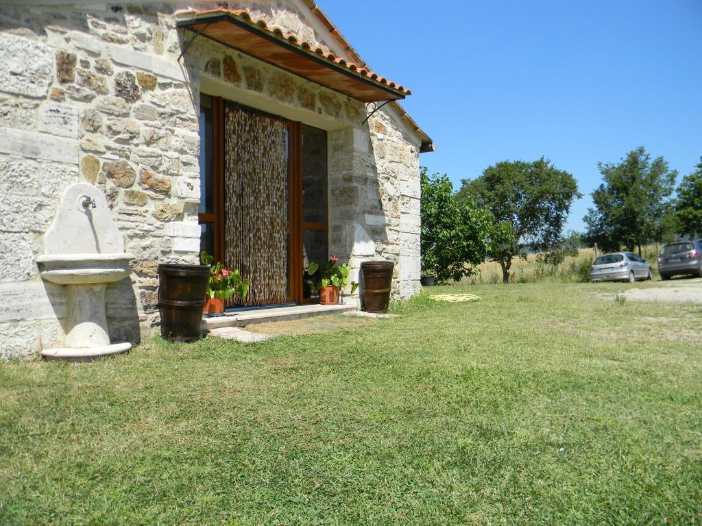 Agriturismo Podere la selva Villa Serre Di Rapolano Esterno foto