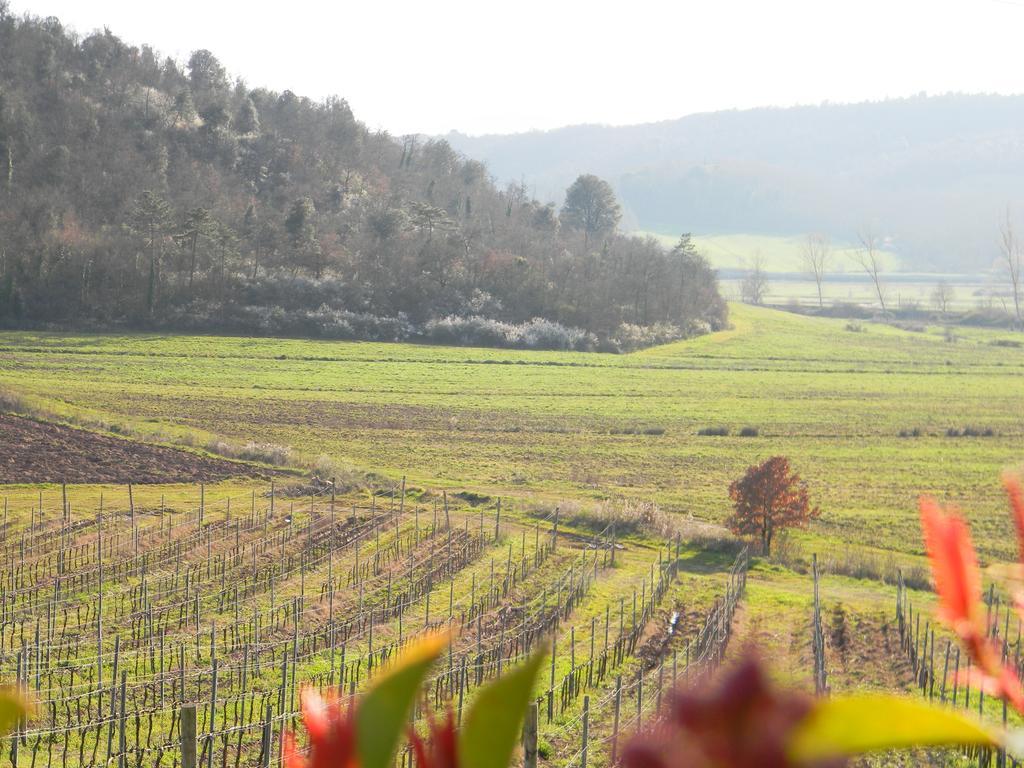 Agriturismo Podere la selva Villa Serre Di Rapolano Esterno foto