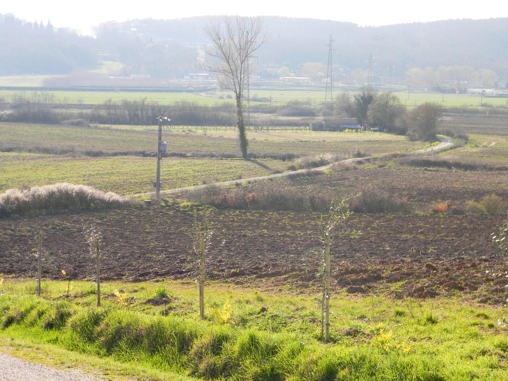 Agriturismo Podere la selva Villa Serre Di Rapolano Esterno foto