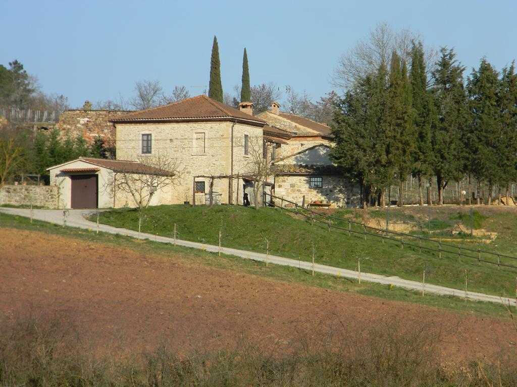 Agriturismo Podere la selva Villa Serre Di Rapolano Esterno foto