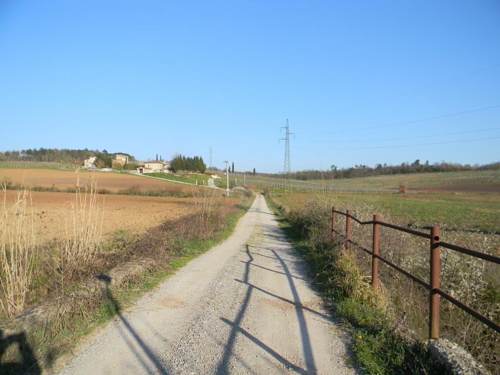 Agriturismo Podere la selva Villa Serre Di Rapolano Esterno foto