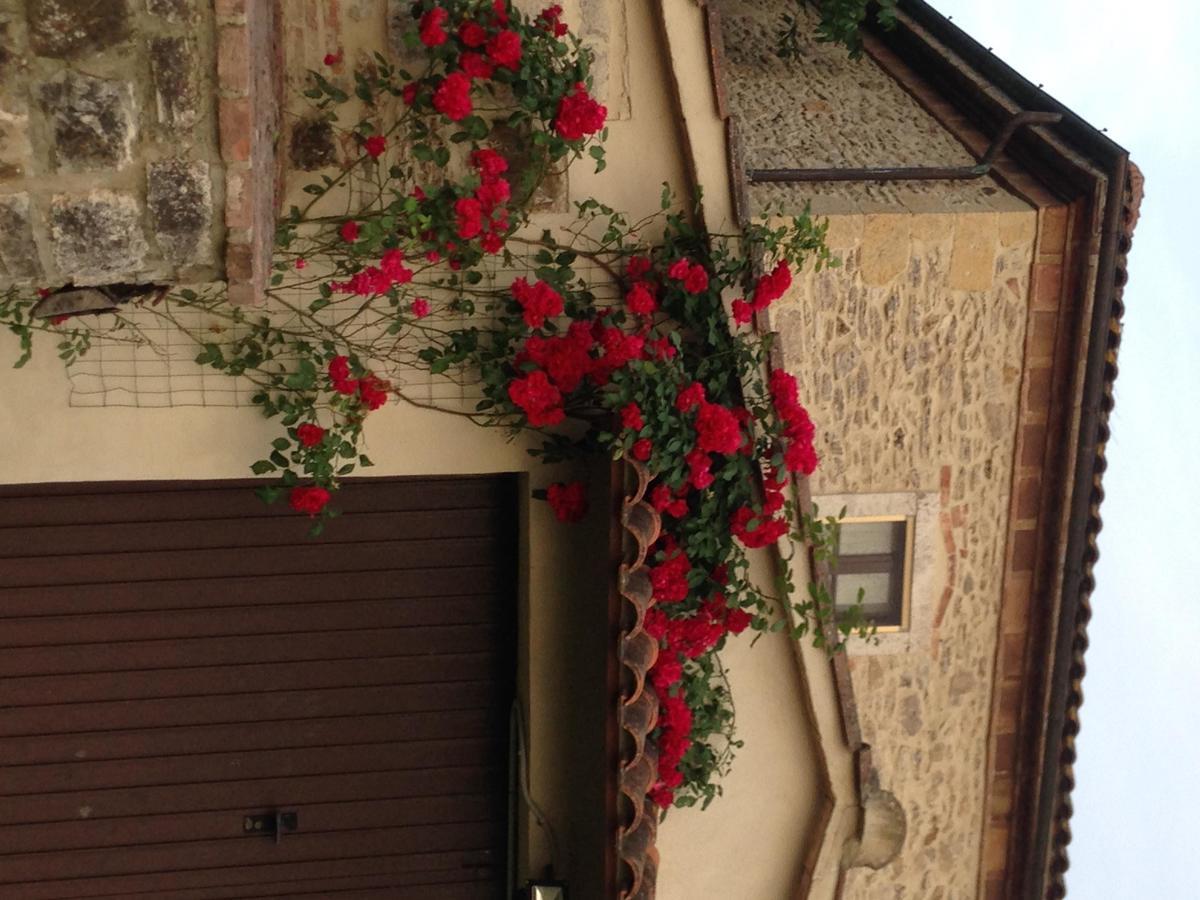 Agriturismo Podere la selva Villa Serre Di Rapolano Esterno foto
